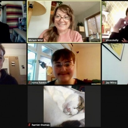 Image of zoom call with steering group